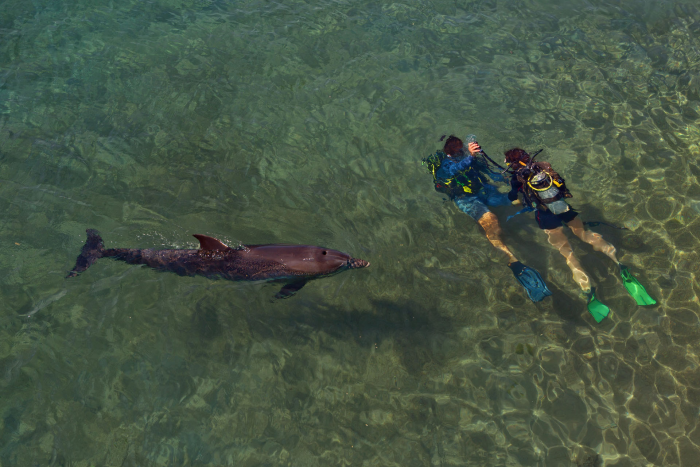 Горы, море и чёрнопятнистый иглобрюх: почему надо ехать в Израиль прямо сейчас