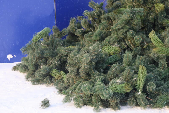 Новогодний городок начали разбирать на площади Свободы в Барнауле. Фото