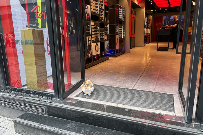 Постучись в его дверь. Как провести незабываемые выходные в турецком городе, который заменил россиянам Париж и Дубай