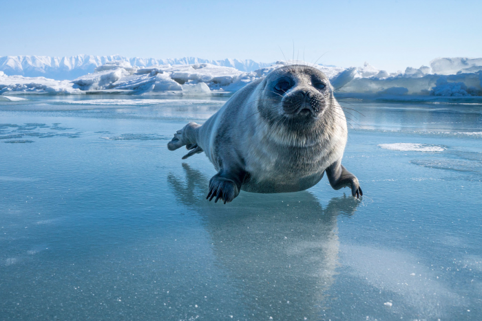 От игольчатого льда Байкала до степных тюльпанов: 8 идей для путешествий этой весной