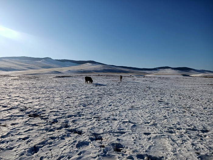 Байкал. Февраль 2023. День 6. Один на один (более 30 км пешки)