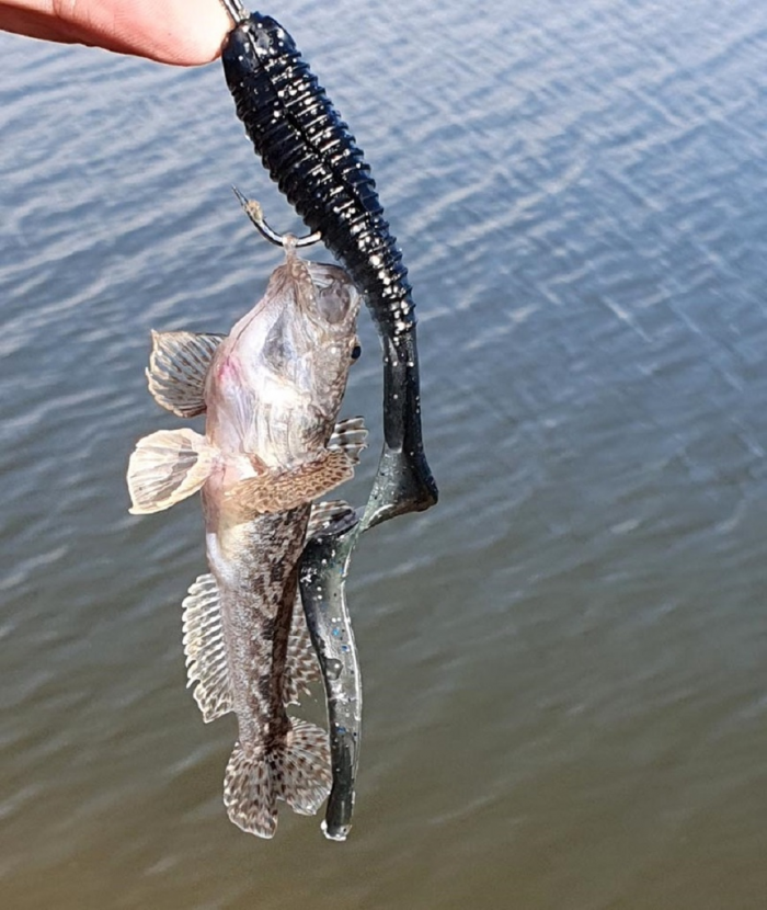 Размер приманок имеет значение