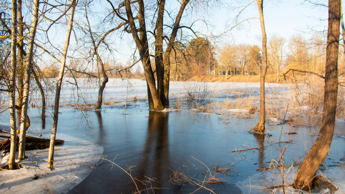Река Воронеж: как крупный приток Дона однажды чуть не обмелел