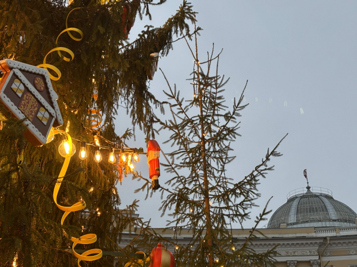 Петербуржцам назвали адреса елочных базаров, которые заработают 20 декабря 2025