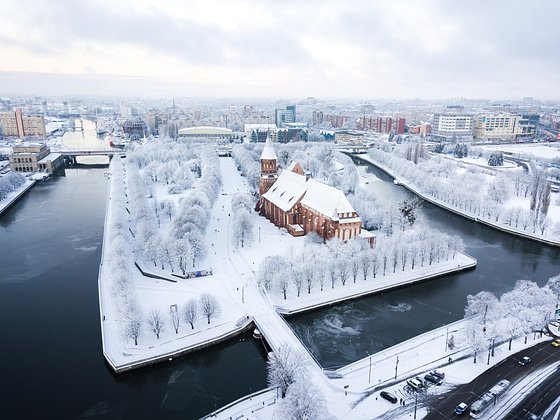 Что посмотреть в Калининграде и области? Главные места и цены на отдых в 2026 году