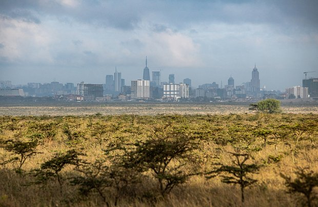 «Во сколько в Найроби обычно начинают убивать?» Россиянин в одиночку поехал в одну из самых опасных стран. Что его там поразило?