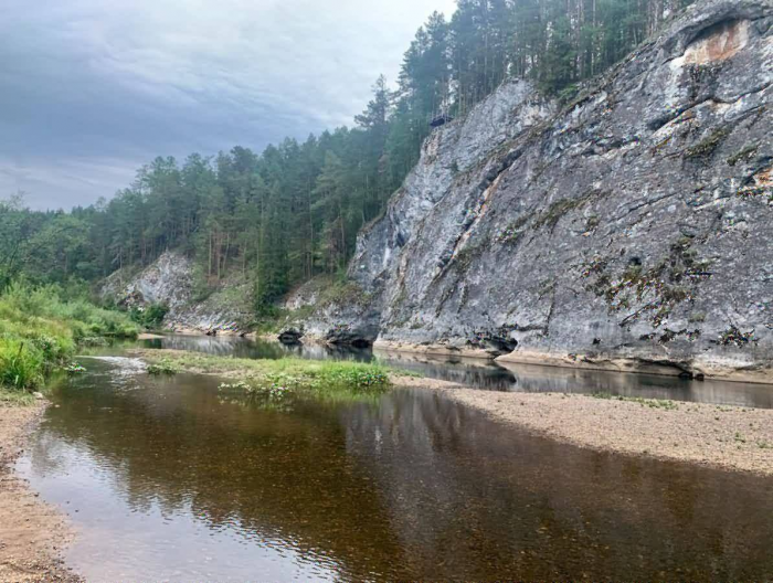 Как вы будете путешествовать в этом году?