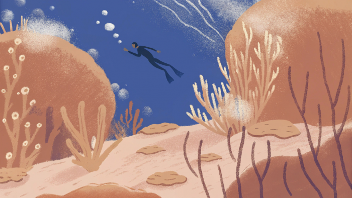 7 самых невероятных рекордов, попавших в Книгу рекордов Гиннесса