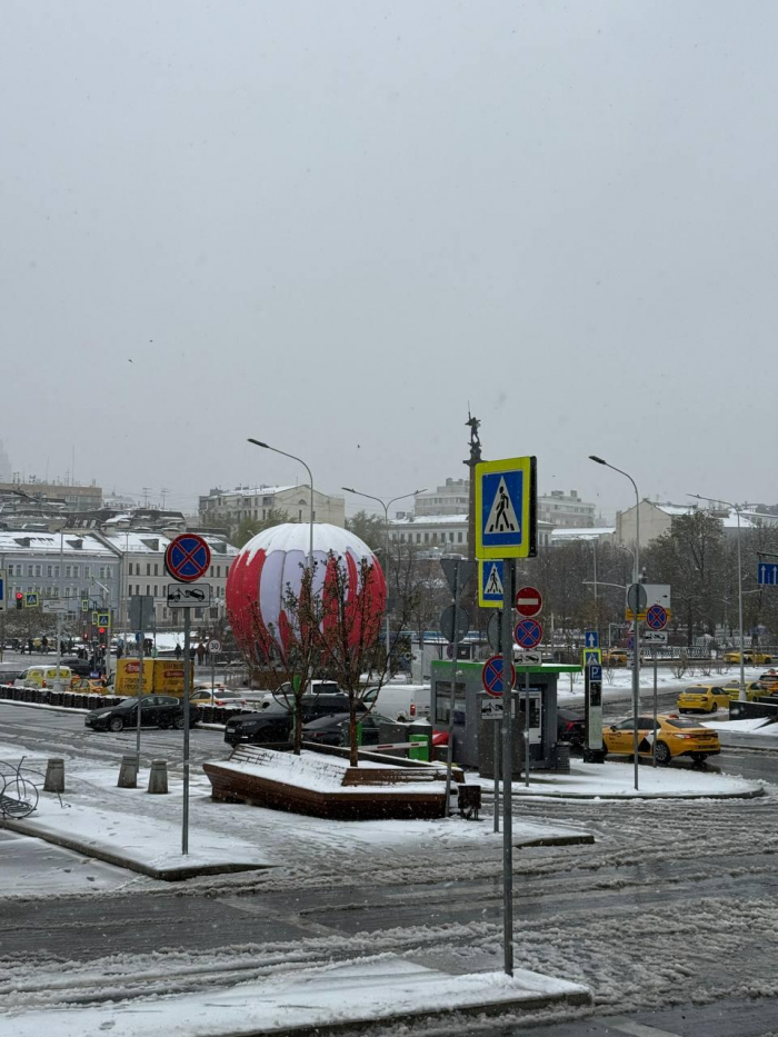 Поваленные деревья, поврежденные машины: Москва оказалась в центре снежного апокалипсиса (много фото)