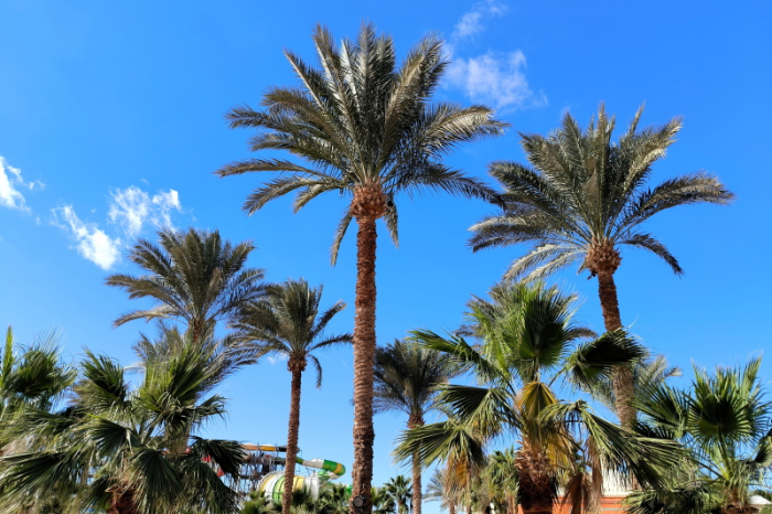 "Господи, как же больно!" Теракт на рейсе 9268. Погибших - сотни: Так кто же заложил бомбу? Ответ вызвал в Сети бурю