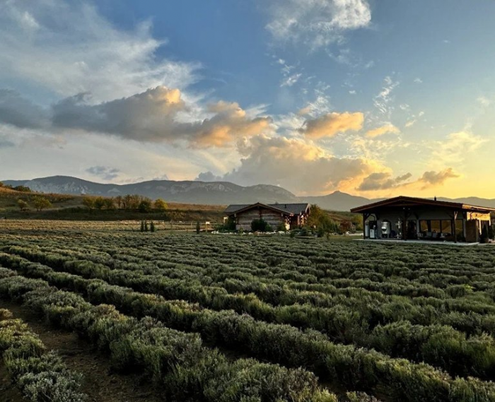 Прогулки с аудиогидом среди ароматов: что предлагает ферма Viva Lavanda в межсезонье
