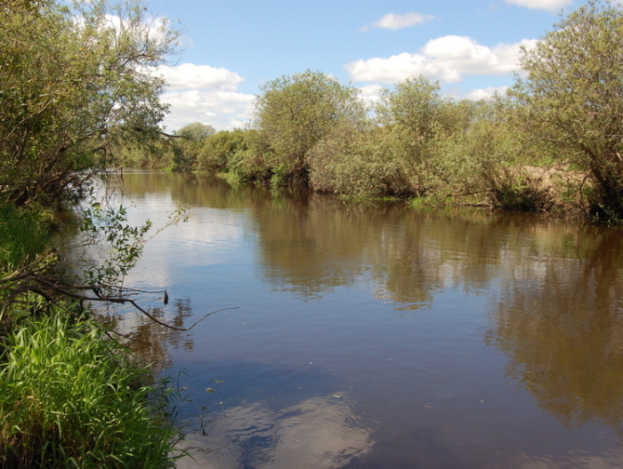 Особенности ловли на осенней речке
