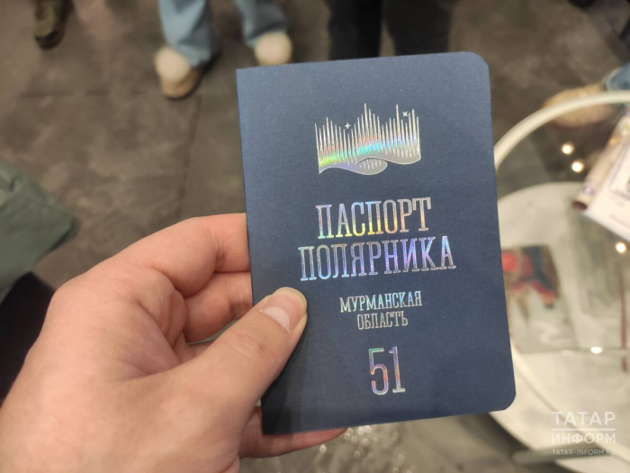 Северное сияние, гонки на хаски, пальмы в тундре: репортаж с края света