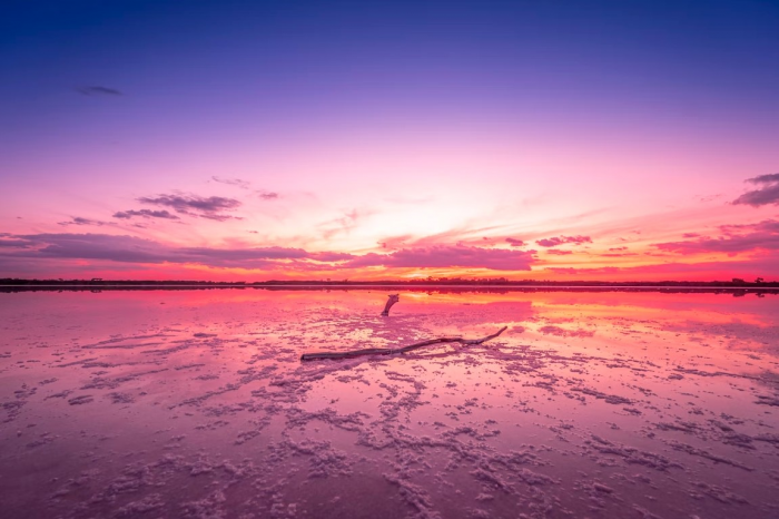 Как в Австралии появились розовые озера?