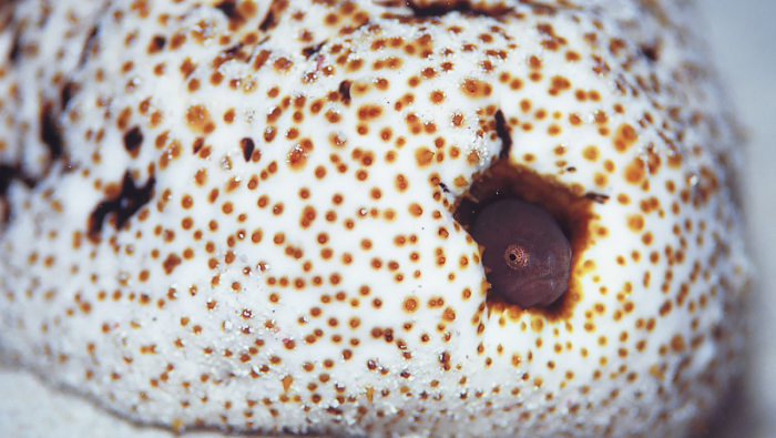 Turogo.ru - Туризм, охота и рыбалка