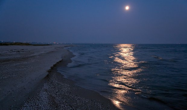 Отдых на Азовском море в 2026 году: 8 курортов для недорогого отпуска