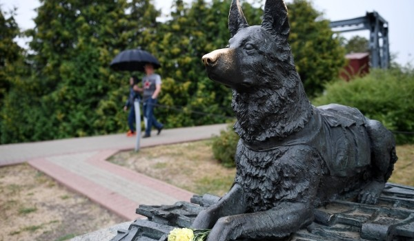 Космическая Лайка и Моська Крылова: каким собакам установили памятники в Москве?