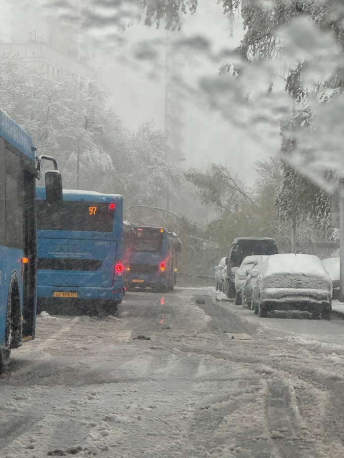 Поваленные деревья, поврежденные машины: Москва оказалась в центре снежного апокалипсиса (много фото)