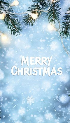 Красивые зимние обои для телефона: 80+ вертикальных картинок на заставку для уютного настроения