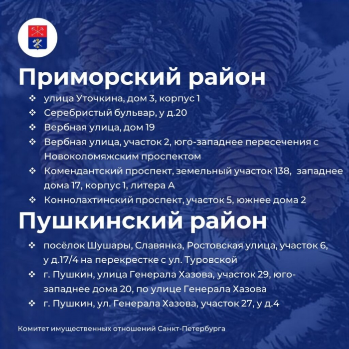Петербуржцам назвали адреса елочных базаров, которые заработают 20 декабря 2025