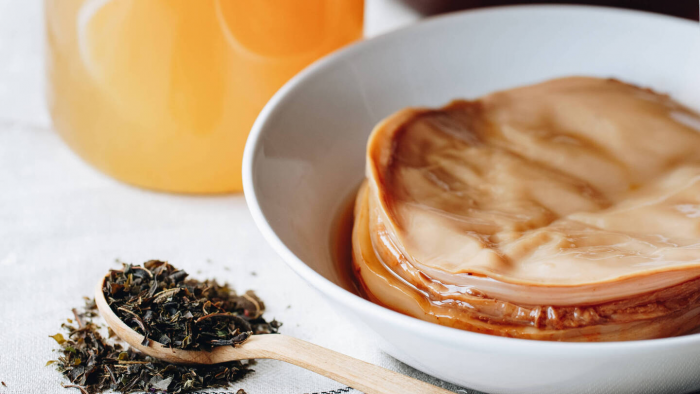 Чайный гриб: что скрывает живой «эликсир» из банки