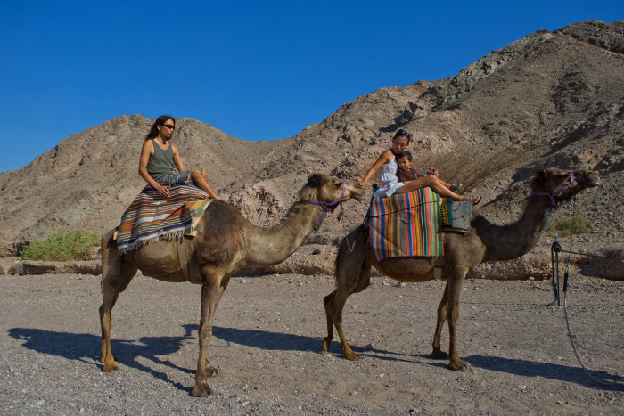 Горы, море и чёрнопятнистый иглобрюх: почему надо ехать в Израиль прямо сейчас