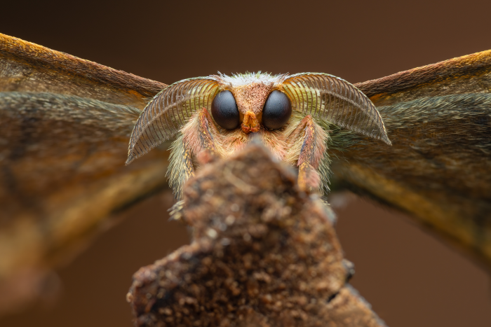 Turogo.ru - Туризм, охота и рыбалка