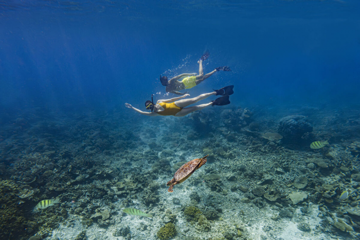 На глубину: новые морские маршруты The Halcyon Private Isles Maldives
