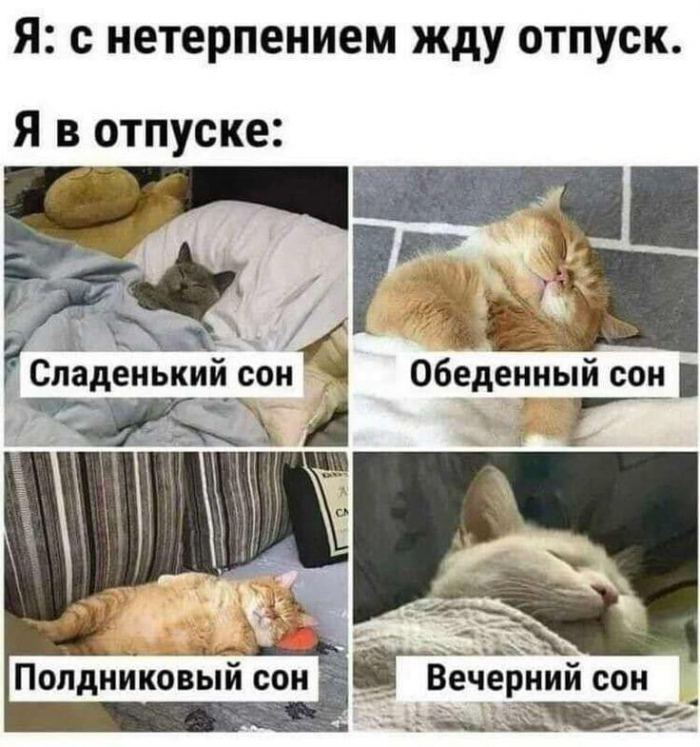 Смешные мемы и картинки про отпуск и отдых