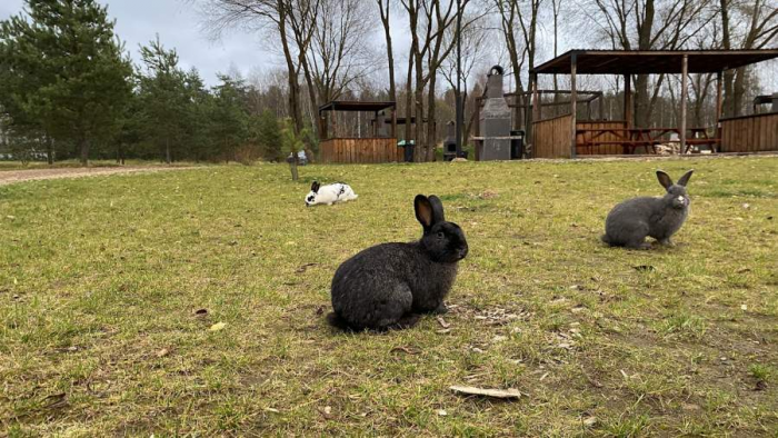 Завидова участь: зачем ехать на курорт в Тверской области