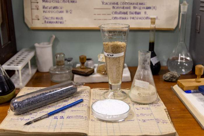 5 причин посетить Архангельскую область