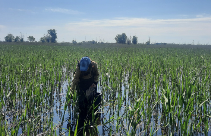 Записки астраханского натуралиста. ...изируя итоги прошедшего паводка