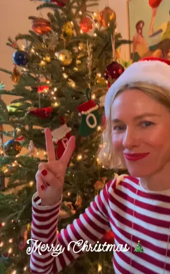 Париж, дети и нарядные ёлки: как Селена Гомес, Виктория Лопырёва, Иванка Трамп, Виктория Манасир и Софья Таюрская отметили католическое Рождество