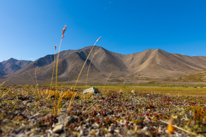 Чукотка: Неземная красота самого отдаленного региона России