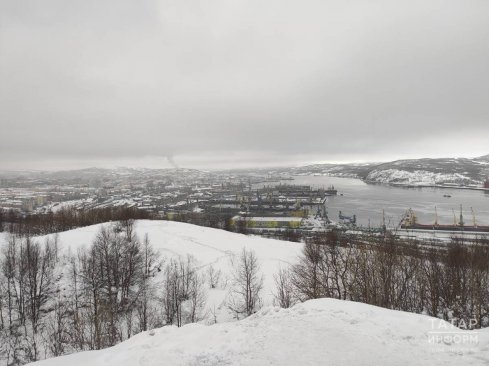 Северное сияние, гонки на хаски, пальмы в тундре: репортаж с края света