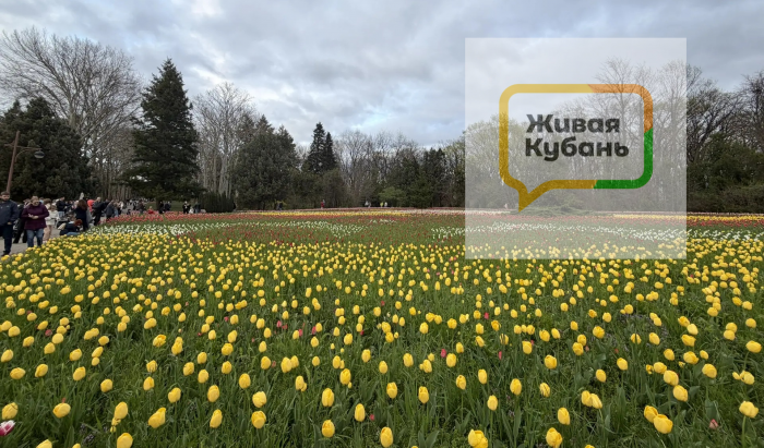 Вытаптывают клумбы и оставляют горы мусора: как выглядит дендрарий Краснодара во время цветения тюльпанов