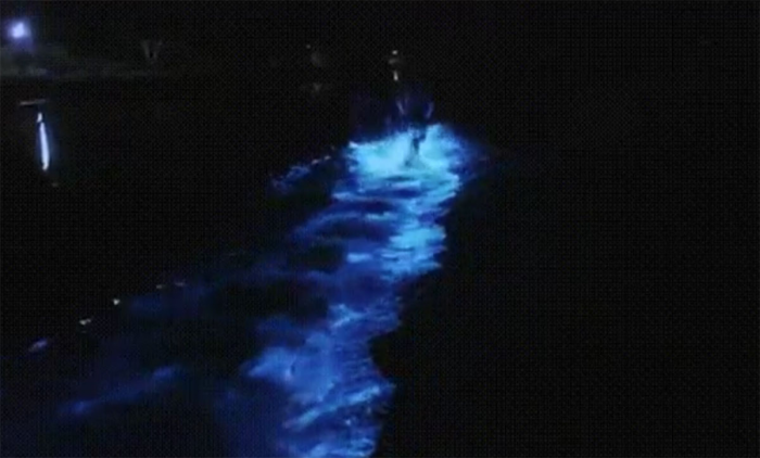 Необычное поведение воды в Азовском море – с чем оно связано