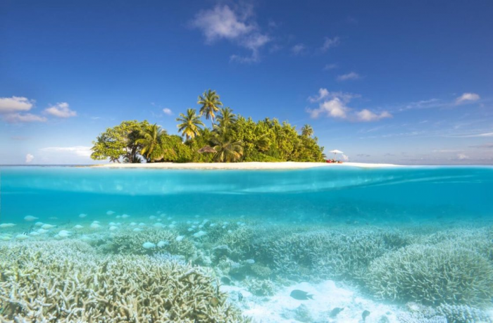 Следующая остановка – Мальдивы: 5 лучших курортов для незабываемого отдыха и новогодних праздников