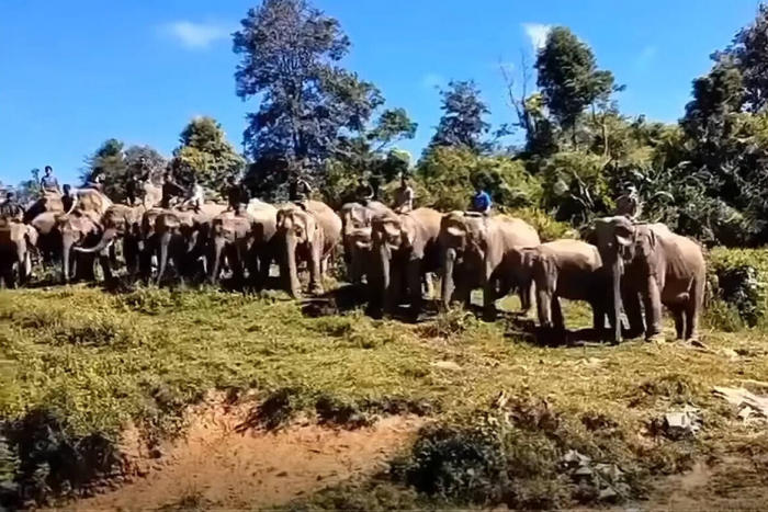 Отдых в воюющей стране: эскалация конфликта Таиланда и Камбоджи и риск для туризма