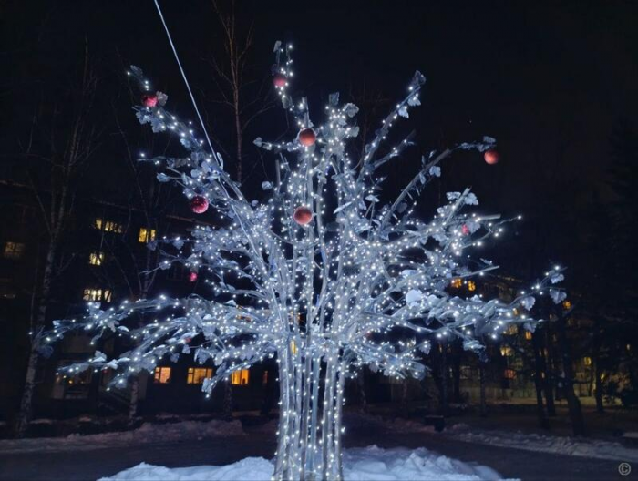 Сияй, Барнаул! Как украсили краевую столицу к Новому году