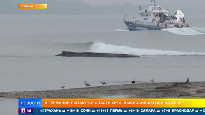 Turogo.ru - Туризм, охота и рыбалка