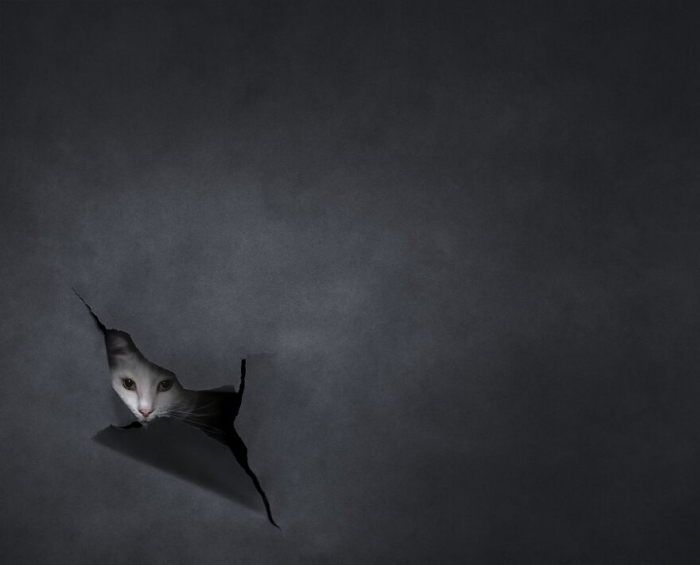 30 лучших фотографий природы с престижного конкурса Tokyo International Foto Awards