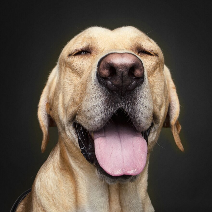 30 лучших фотографий природы с престижного конкурса Tokyo International Foto Awards