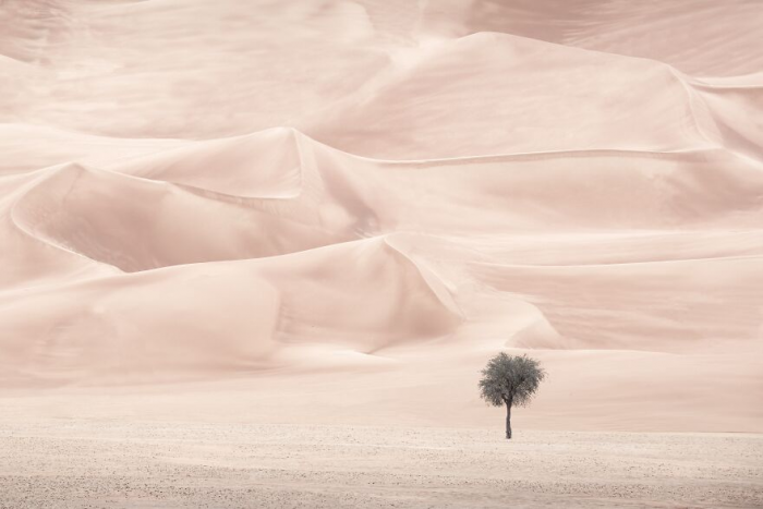 30 лучших фотографий природы с престижного конкурса Tokyo International Foto Awards