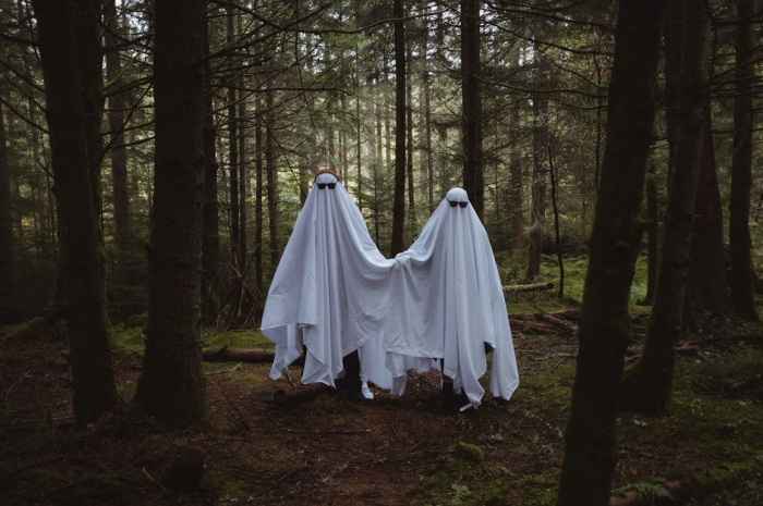 Почему люди так отчаянно охотятся за привидениями?