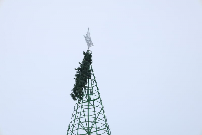 Главная городская елка на площади Свободы в Барнауле обзавелась звездой и "зеленеет". Фото