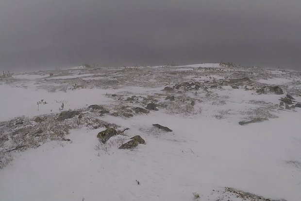 90 лет назад родился Игорь Дятлов. Каким был герой самой загадочной истории ХХ века и какие тайны остались на перевале Дятлова?