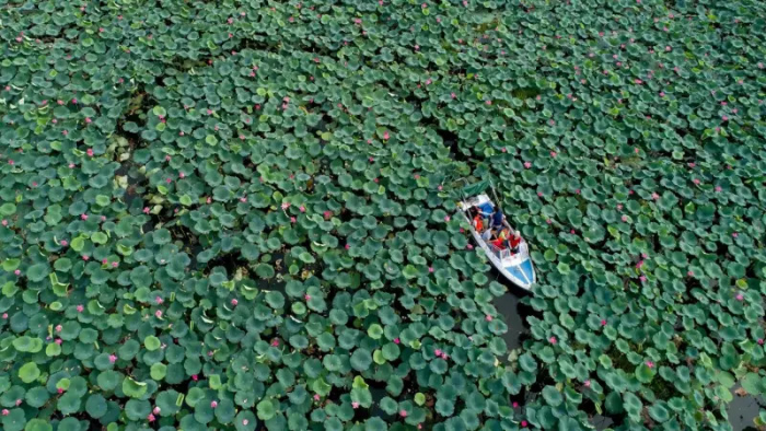 Почему Кубань ушла в Азовское море: история одной рукотворной катастрофы