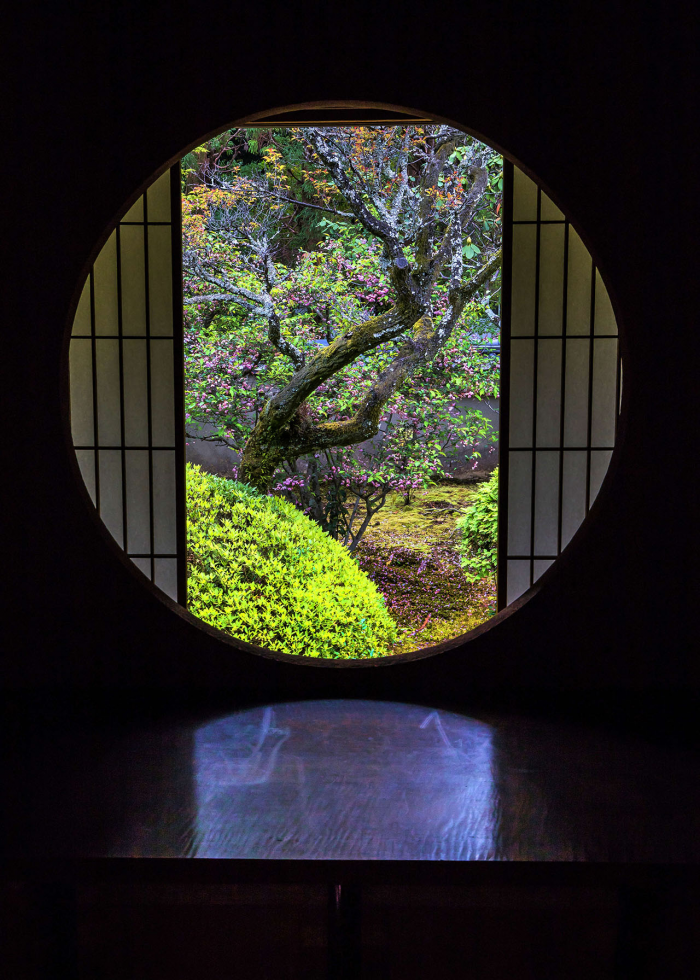 Пространства без публики: как тайные сады пережили века и снова стали актуальны