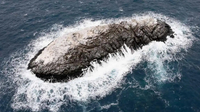 Экипаж «Поларштерна» обнаружил в море Уэдделла неучтённый скалистый остров